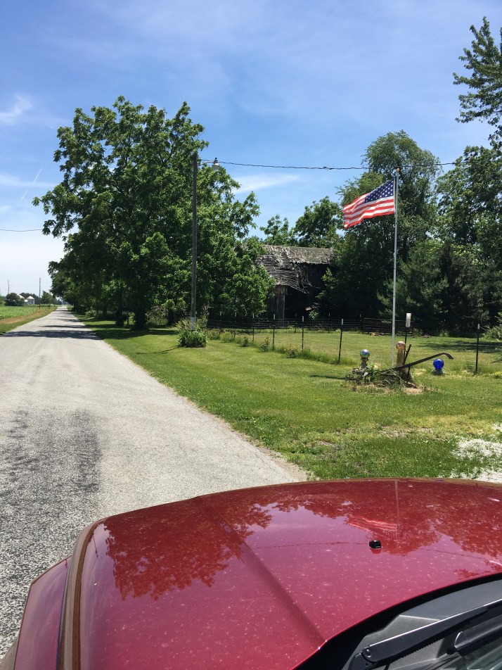 Flag Flying IMG_6958