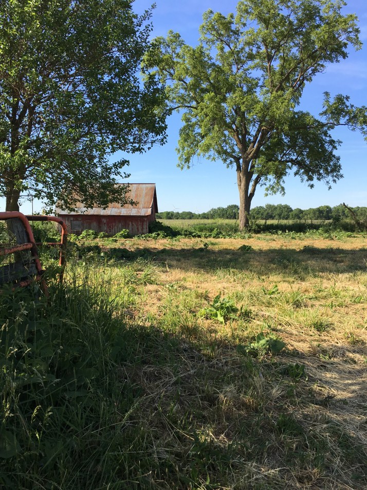 henry county 1IMG_6867