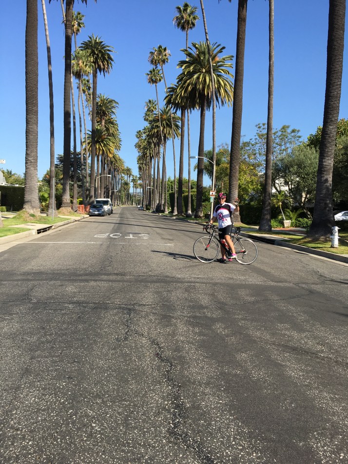 Beverly Hills 1 IMG_2915